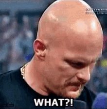 Exploring The Best Stone Cold What Gif Reactions